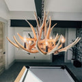 Lustre Austin Elegance Chifre de Cervo