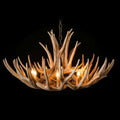Lustre Texas