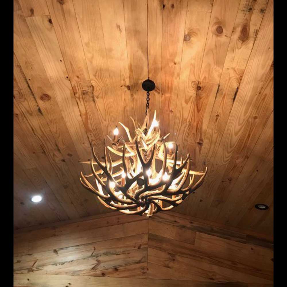 Lustre Durango Pro Ropers – Chifre de Cervo
