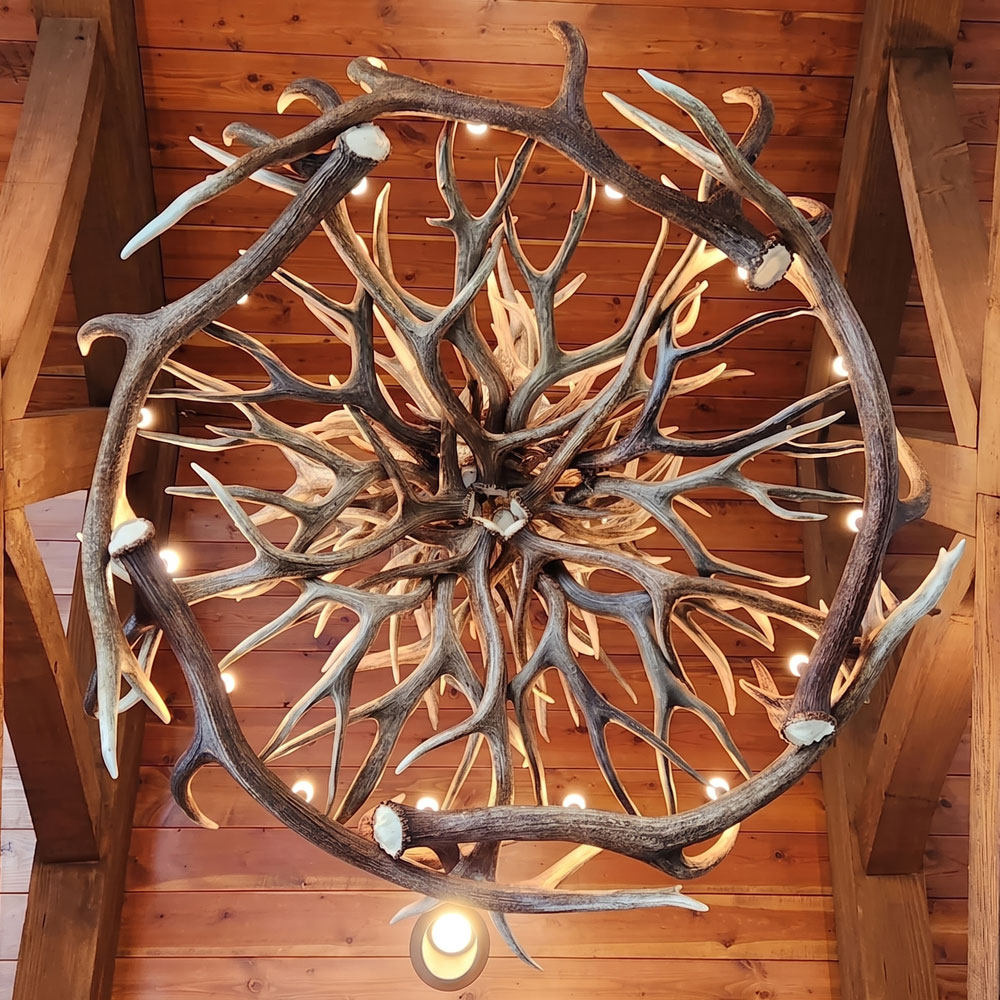 Lustre Lone Star Chifre de Cervo