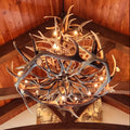 Lustre Lone Star Chifre de Cervo