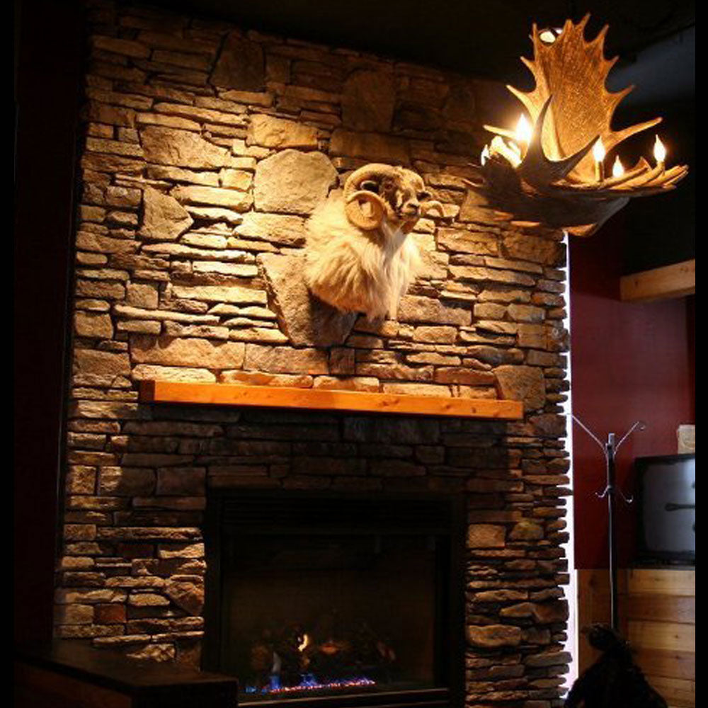 Lustre El Paso com 4 Chifres de Alce