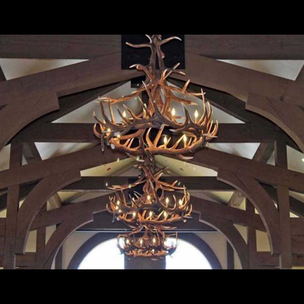 Lustre Wild Elk