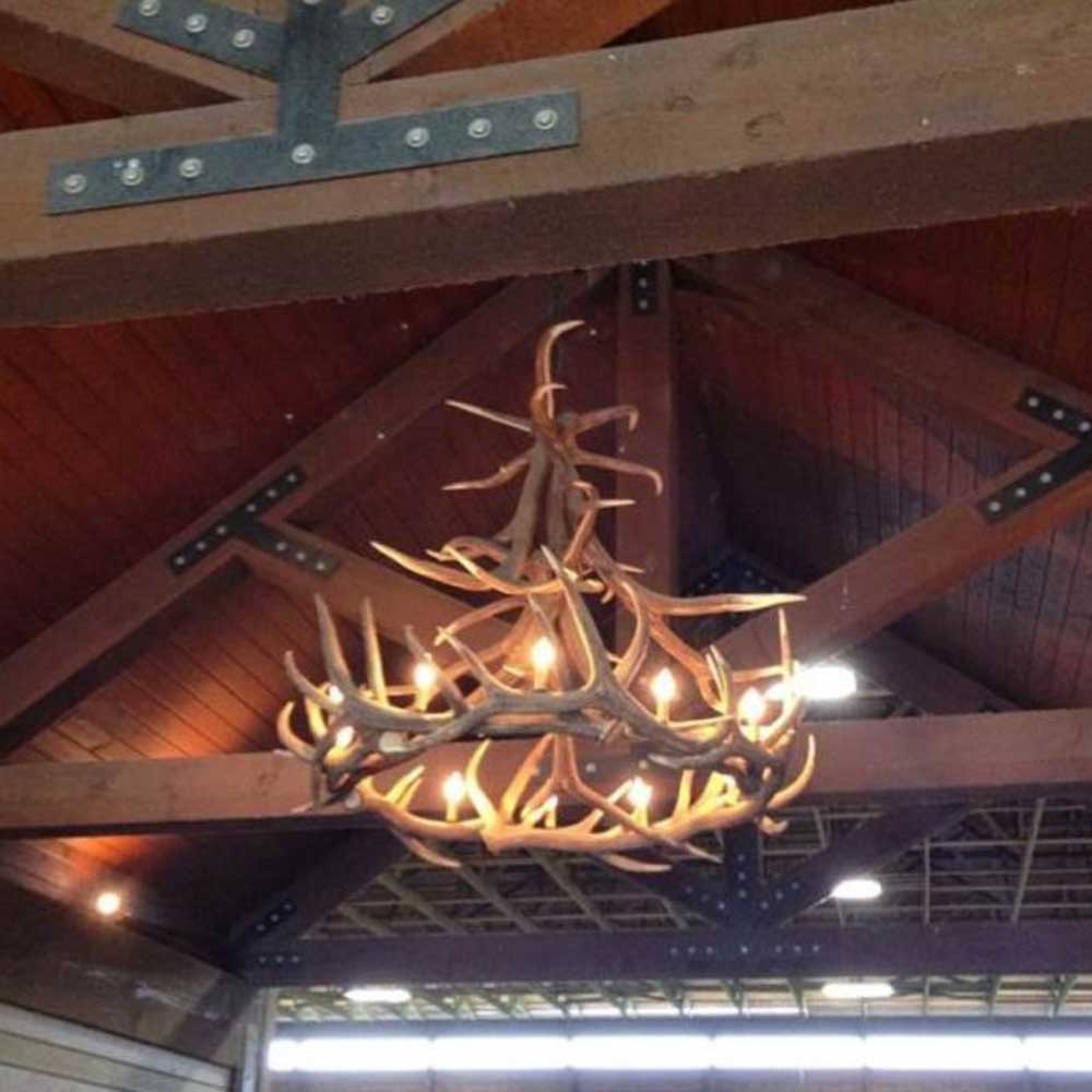 Lustre Wild Elk