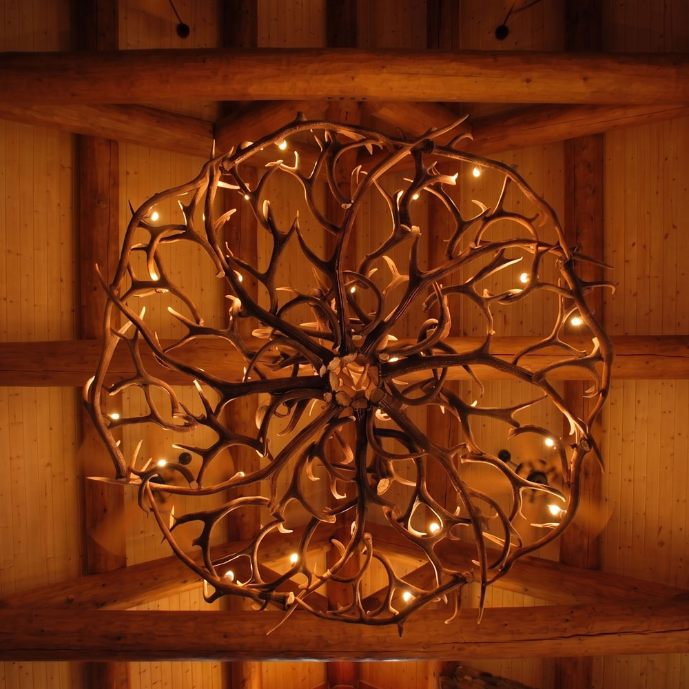 Lustre Ranch & Star Chifre de Cervo