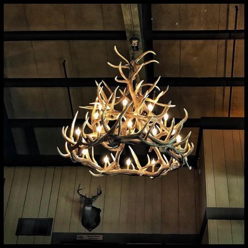 Lustre Grand Elk da Pro Ropers
